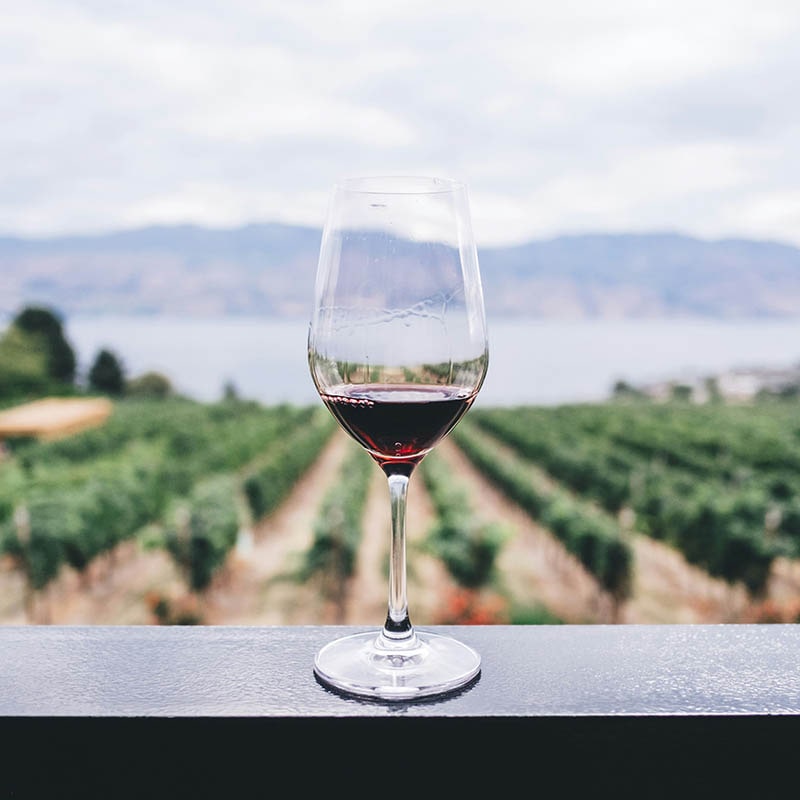 Как делать домашнее вино: особенности приготовления напитка